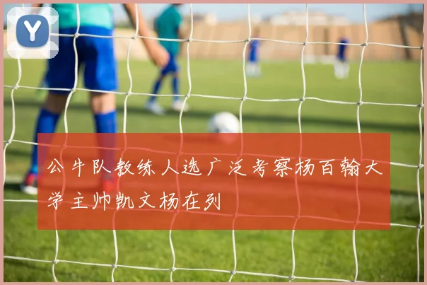 公牛队教练人选广泛考察杨百翰大学主帅凯文杨在列