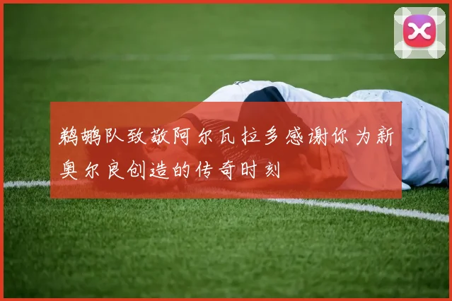 鹈鹕队致敬阿尔瓦拉多感谢你为新奥尔良创造的传奇时刻